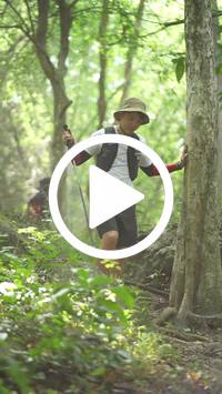 BIB:  <button type="button" onclick="openModal(27934655)" class="btn btn-primary btn-sm float-right" data-toggle="modal" data-target=".modal-high-quality">
                <i class="fa fa-download"></i> Download
                </button>